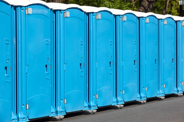 Best Eco-Friendly Portable Toilets in Somerset, WI